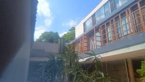 WhatsApp Image 2025-11-10 at 14.21.12