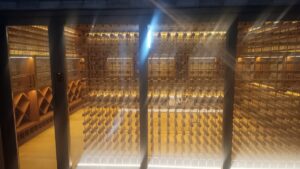 WhatsApp Image 2025-11-10 at 14.42.17