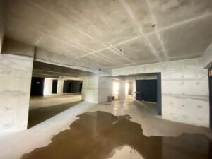 WhatsApp Image 2025-12-12 at 09.15.48